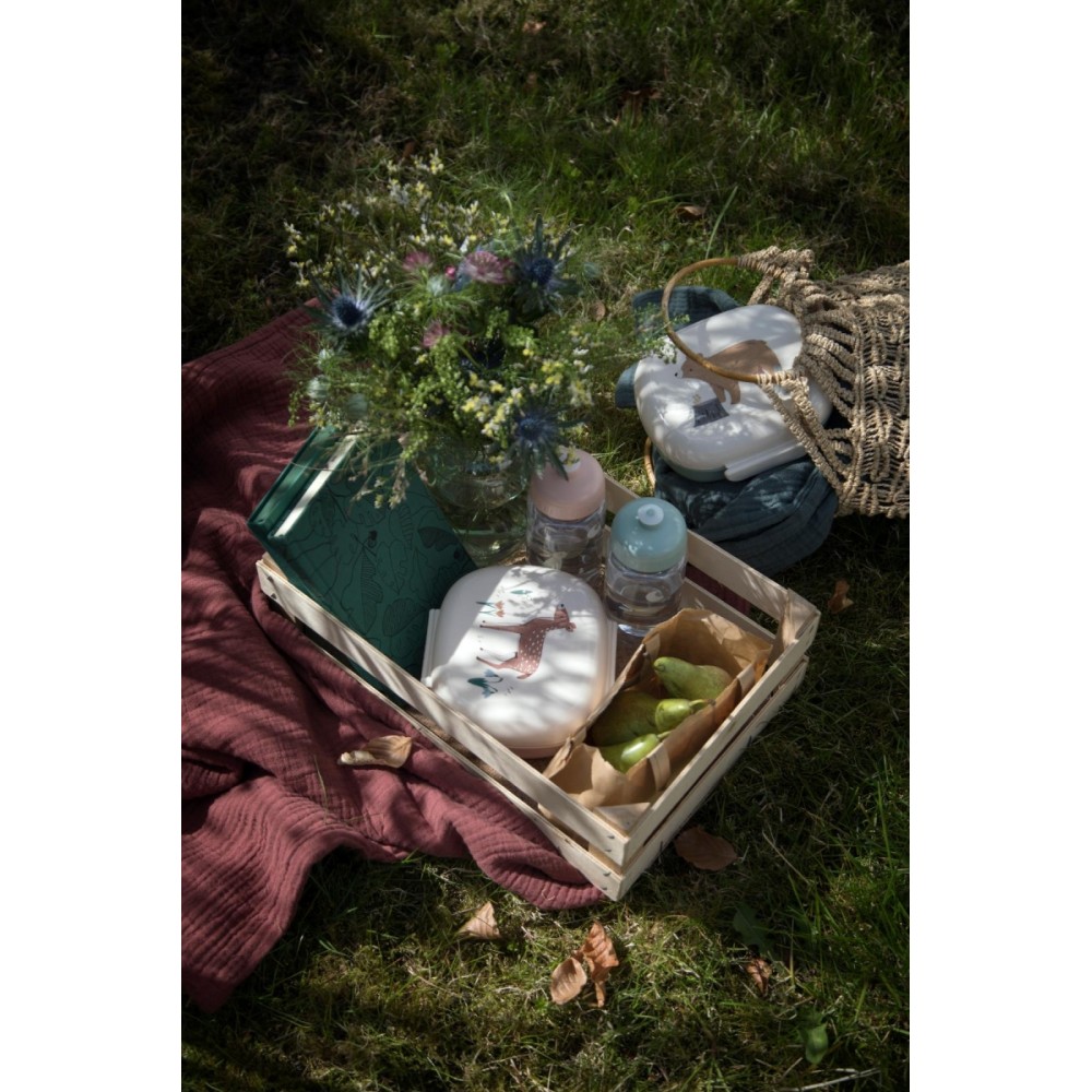 Trinkflasche, Dragon Tales (500 ml)