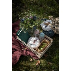 Sebra Lunch Box, Dragon Tales