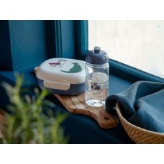 Sebra Lunch Box, Dragon Tales