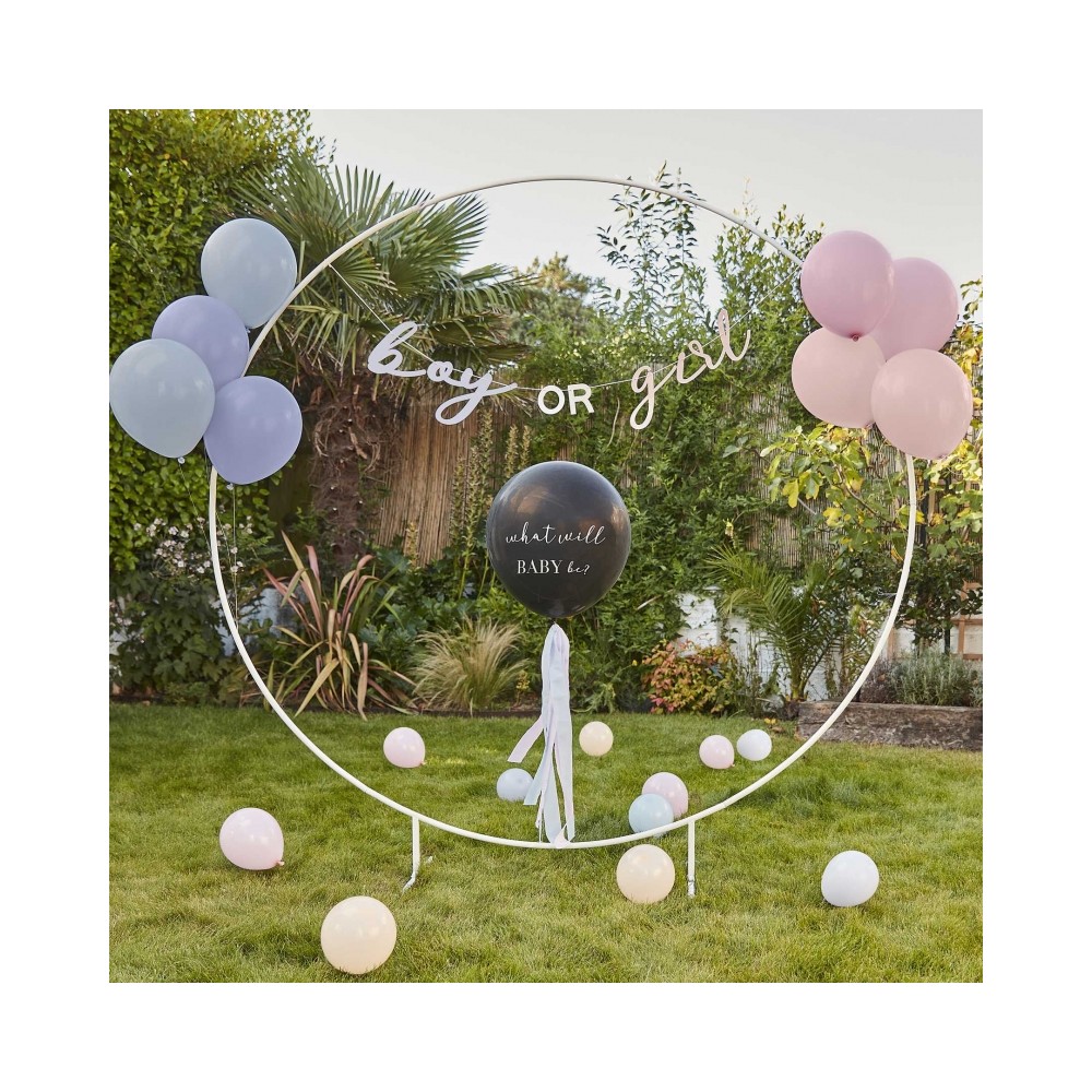 What Will Baby Be Gender Reveal Ballon Kit