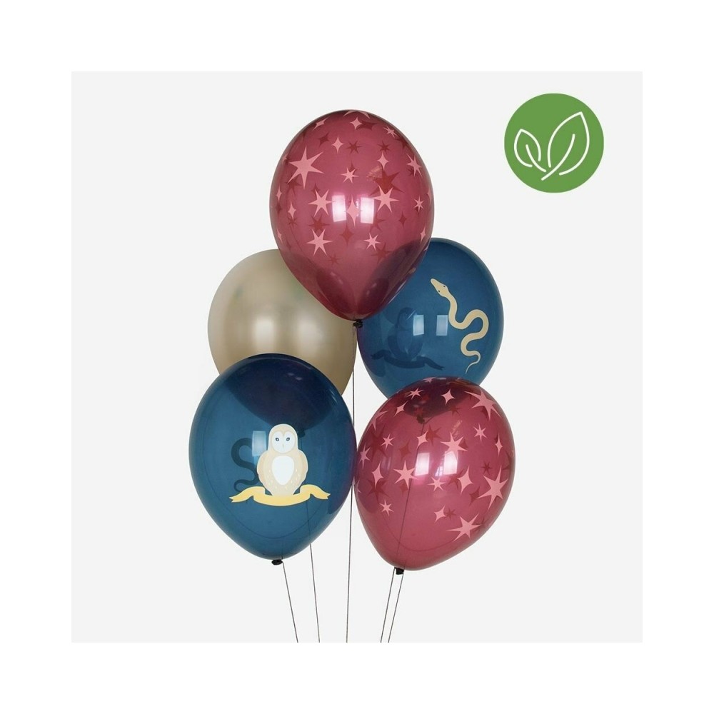 My Little Day Luftballone aus Latex, 5 Stk. - Wizard