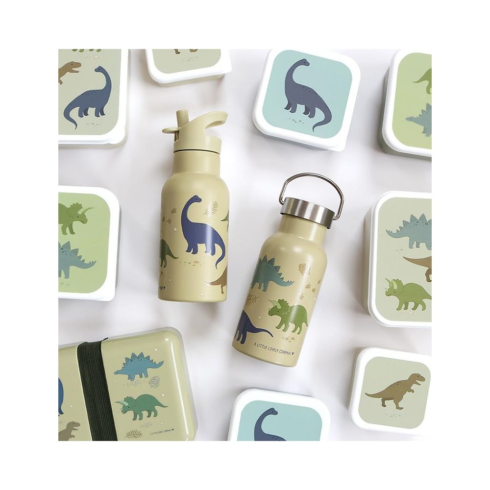 Edelstahl Trinkflasche - Dinosaurier (350 ml)