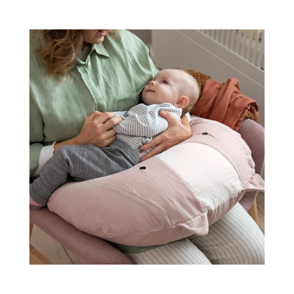 Sebra Stillkissen, Zappy das Eichhörnchen