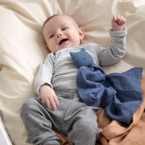 Sebra Naturkautschuk Beissringe mit Kuscheltuch, Rebel