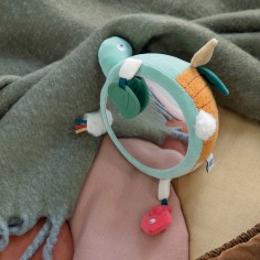 Sebra Aktivitäts-Aufhängung, Turbo die Schildkröte