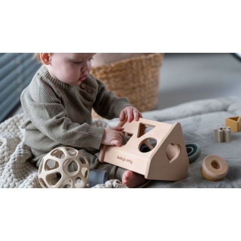 Babys Only Puzzle-Box Haus, Earth