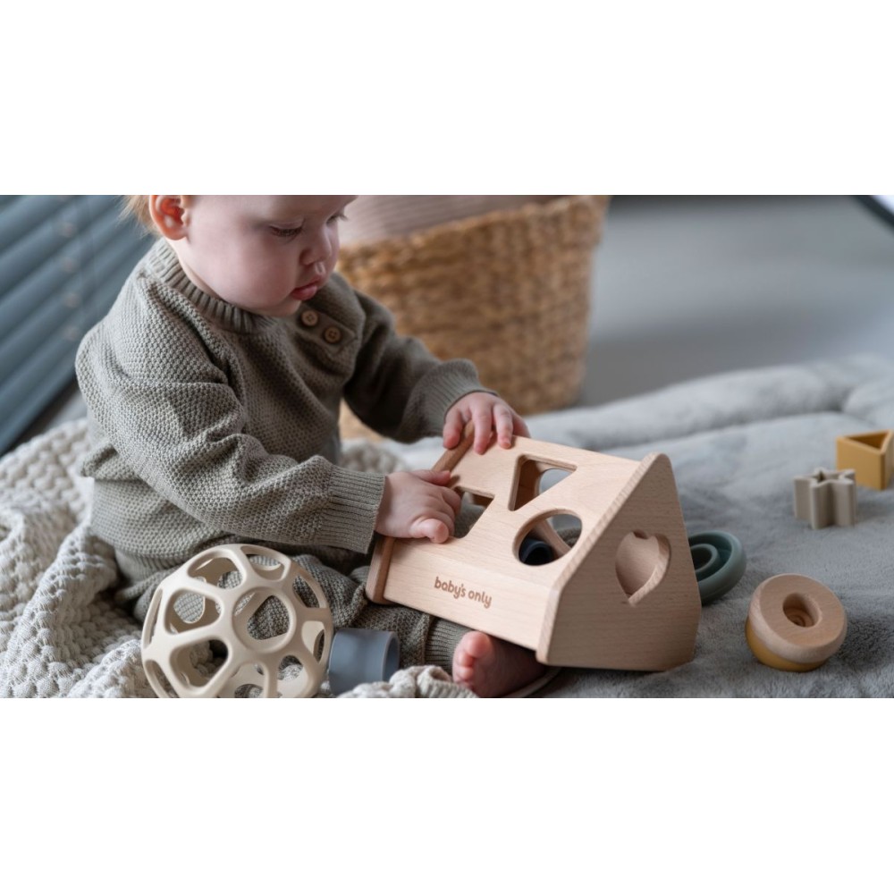 Babys Only Puzzle-Box Haus, Earth