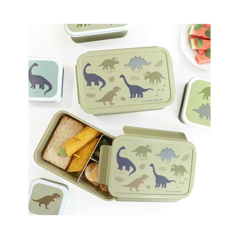 Bento Lunchbox Dinosaurier