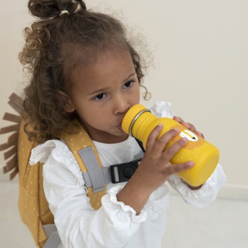 Edelstahl Trinkflasche - Mr. Lion (350 ml)