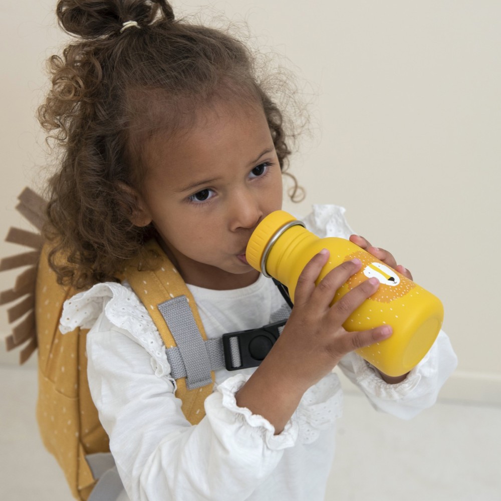 Edelstahl Trinkflasche - Mr. Lion (350 ml)