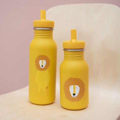 Edelstahl Trinkflasche - Mr. Lion (350 ml)