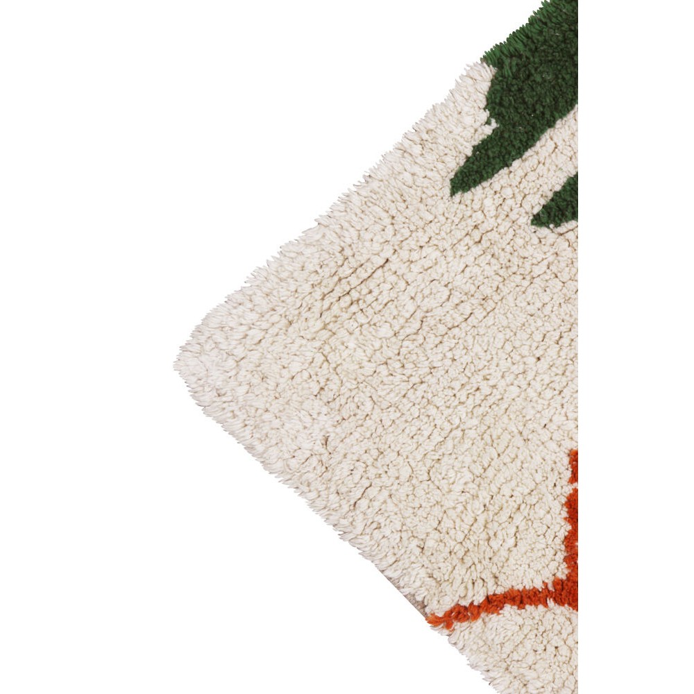 Plantes botaniques de tapis