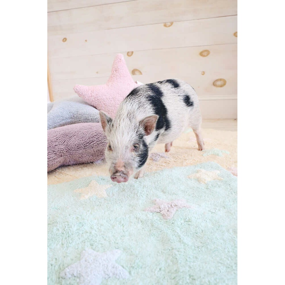 Tapis Tricolor Stars Mint Soft Mint