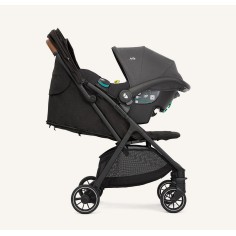Pact Pro Reisebuggy, Shale