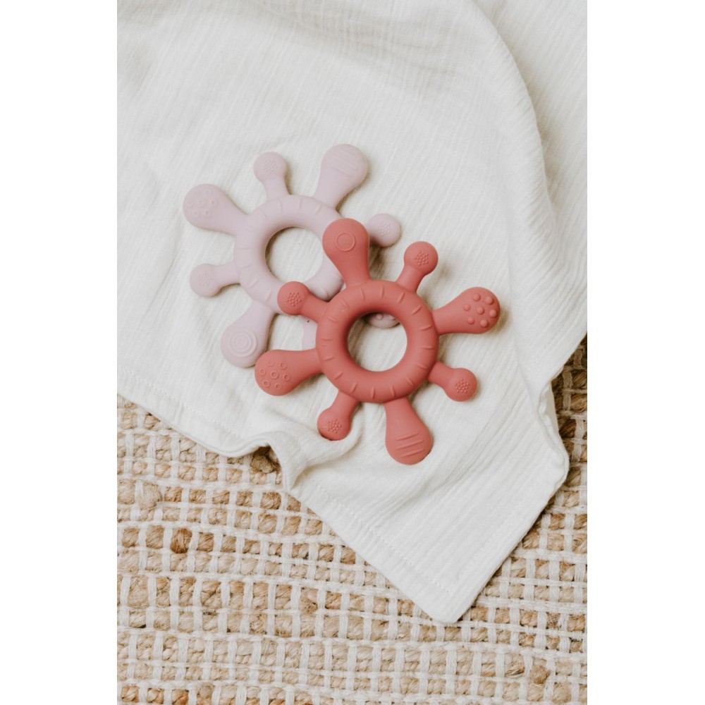 Beissring Blossom, Alt Rosa