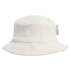 Sonnenhut Dream, Cream