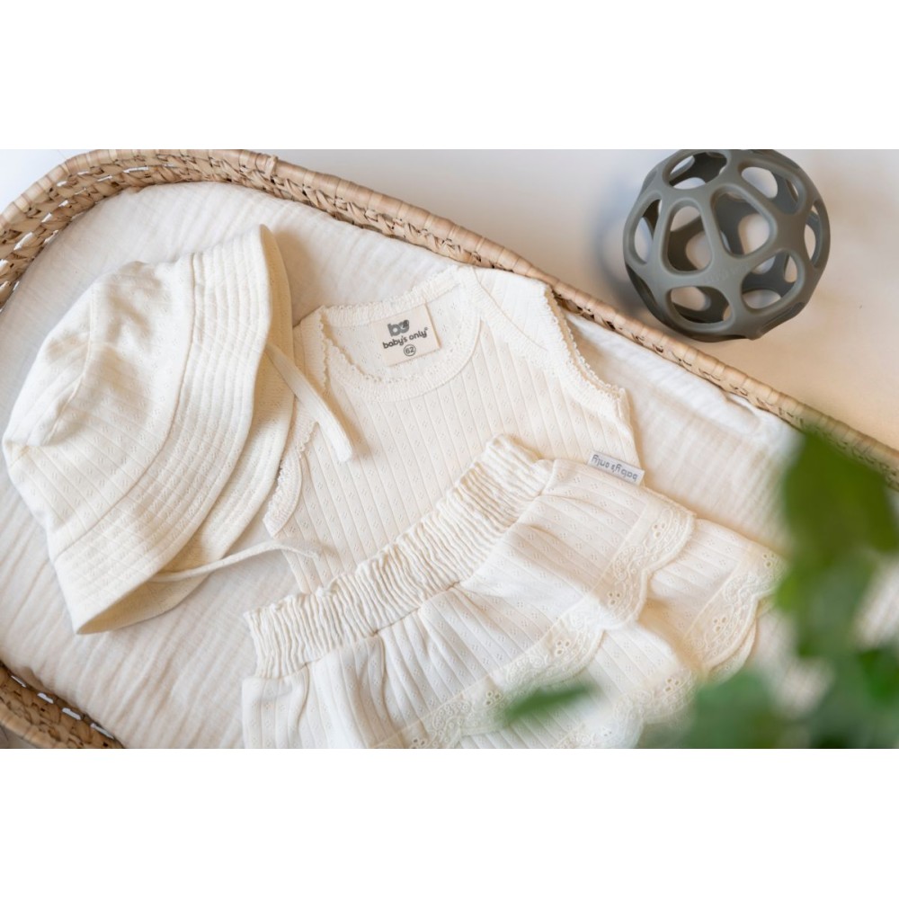 Sonnenhut Dream, Cream