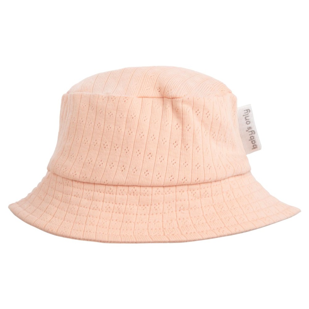 Sonnenhut Dream, Peach