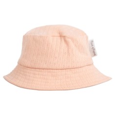 Sonnenhut Dream, Peach