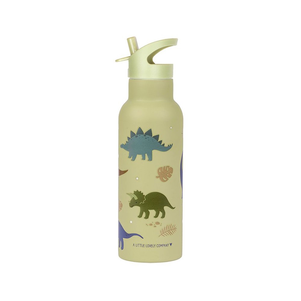 Edelstahl Trinkflasche - Dino (500 ml)