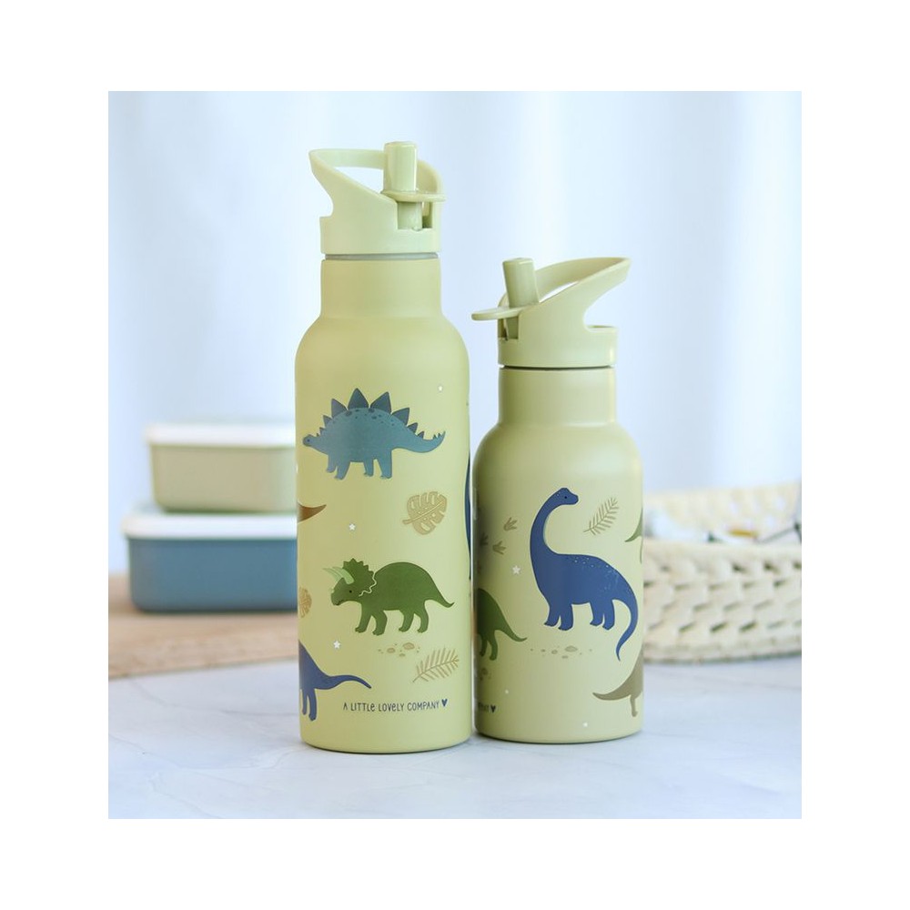 Edelstahl Trinkflasche - Dino (500 ml)