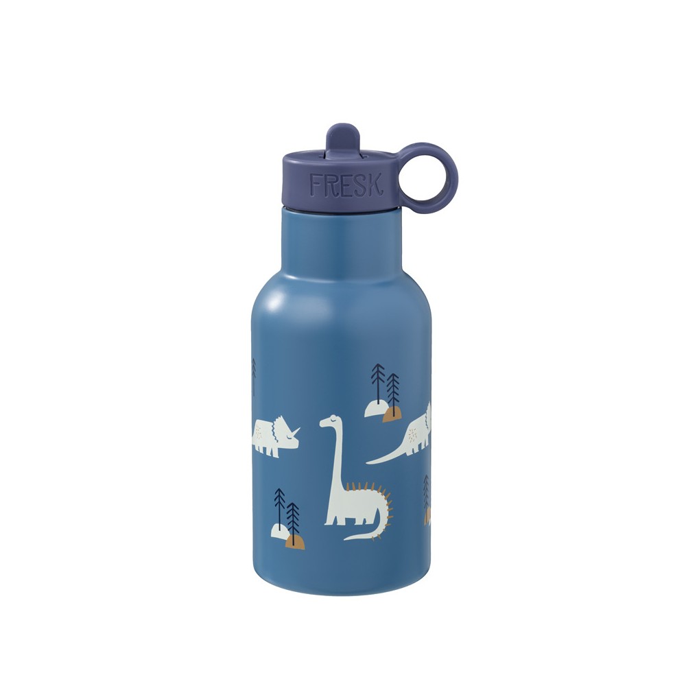 nordische Thermosflasche, Dino (350 ml)