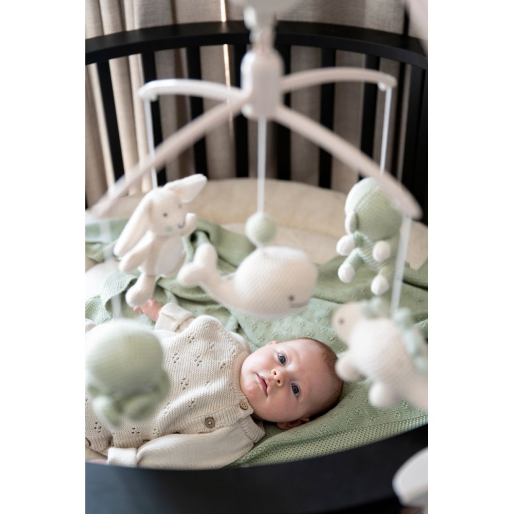 Musik Mobile Animals, Laurel Green/ Warm Linen