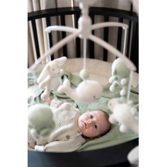 Musik Mobile Animals, Laurel Green/ Warm Linen