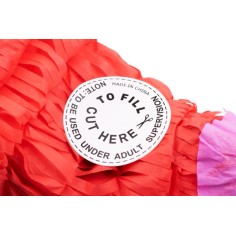 copy of My Little Day Piñata, Pirat