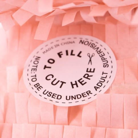 copy of My Little Day Piñata, Pirat