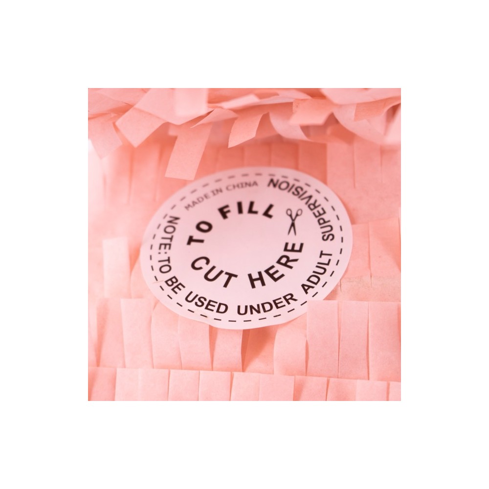 copy of My Little Day Piñata, Pirat