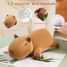 Augmentation de jouet en peluche de Capybara (35 cm)