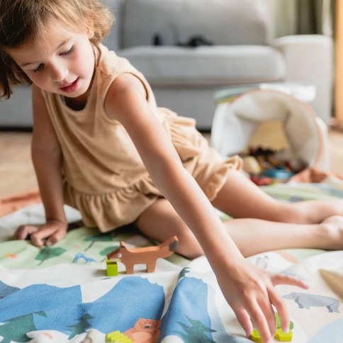 copie de la feuille de route de tapis de jeux de soo et de stockage