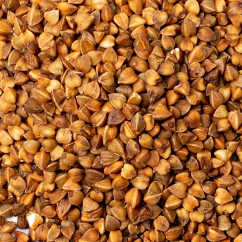 copie du sarrasin biologique, rôti