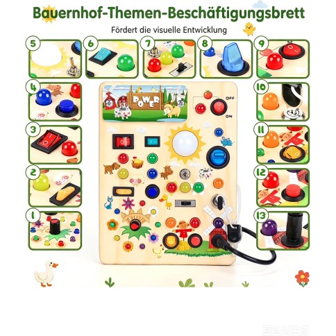 copie de Montessori Tri & Compter Jouets en bois - Ensemble de 26 pièces Acorn